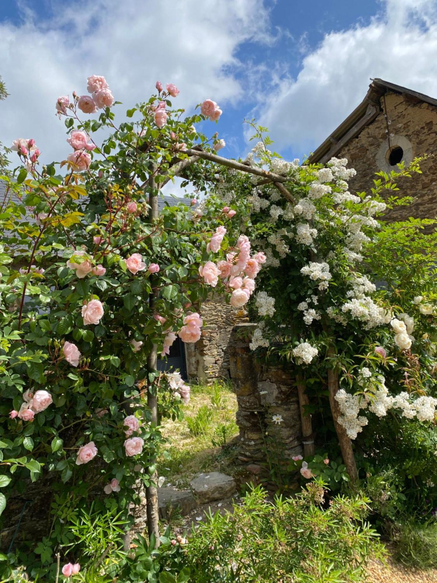 La Mouliniere, Jolie Longere Du Xviie Bed & Breakfast La Jaille-Yvon Exterior photo
